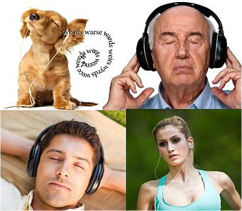 Audio books people
