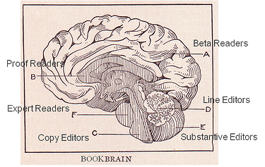 Book Brain